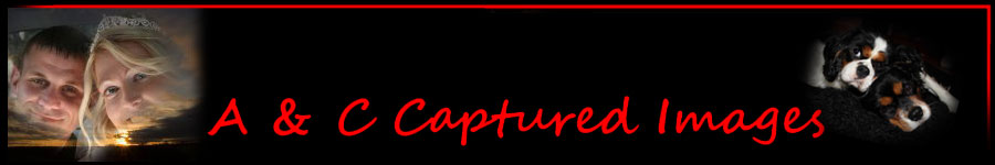 A & C Captured Images