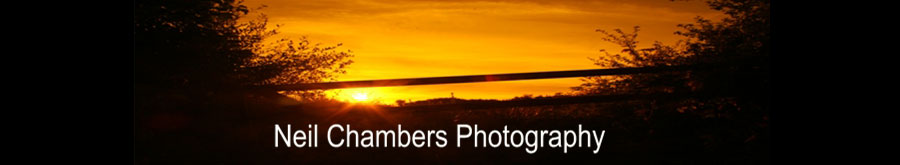 Neil Chambers Photography